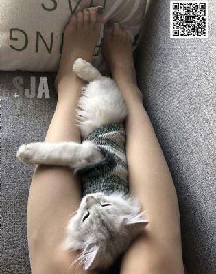 中文无码久久精品麻豆_DVD神马影院手机在线
